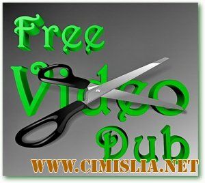 Free Video Dub 2.0.19 build 610 [2013 / MULTi / RUS]