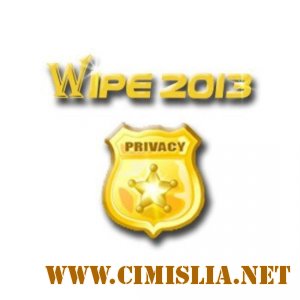 Wipe 2013 PRO Final Build 56 [2013 / MULTI / RUS]