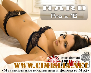 Hard Pro v.16 [2013 / MP3 / 320 kb]