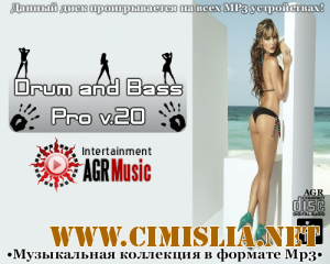 Drum and Bass Pro V.20 [2013 / MP3 / 320 kb]