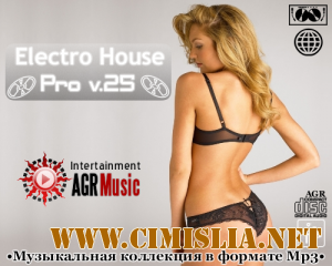 Electro House Pro V.25 [2013 / MP3 / 320 kb]