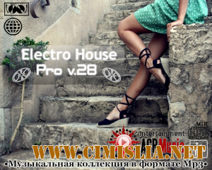 Electro House Pro V.28 [2013 / MP3 / 320 kb]