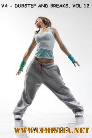 Dubstep and Breaks. Vol12 [2013 / MP3 / 320 kb]