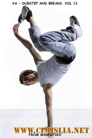 Dubstep and Breaks. Vol13 [2013 / MP3 / 320 kb]