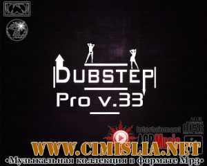 DubStep Pro V.33 [2013 / MP3 / 320 kb]