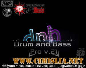 Drum and Bass Pro V.21 [2013 / MP3 / 320 kb]