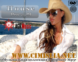House Pro V.29 [2013 / MP3 / 320 kb]