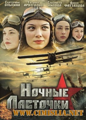 Ночные ласточки [01-08 из 08] [2013 / DVDRip]