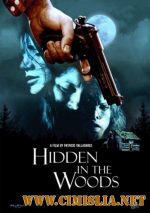 Спрятавшиеся в лесу / Hidden in the woods [2012 / HDRip]
