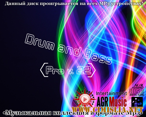 Drum and Bass Pro V.22 [2013 / MP3 / 320 kb]