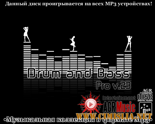 Drum and Bass Pro V.23 [2013 / MP3 / 320 kb]