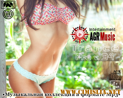 Trance Pro V.34 [2013 / MP3 / 320 kb]