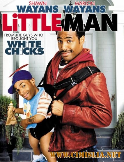 Шалун / Little Man [2006 / HDRip]
