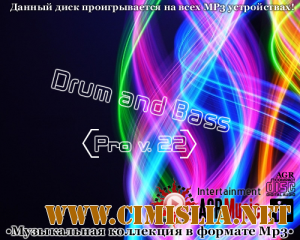 Drum and Bass Pro V.22 [2013 / MP3 / 320 kb]
