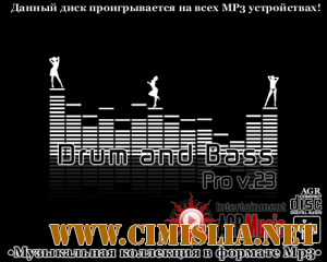 Drum and Bass Pro V.23 [2013 / MP3 / 320 kb]