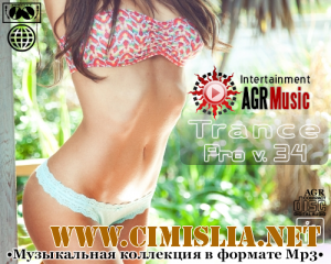 Trance Pro V.34 [2013 / MP3 / 320 kb]