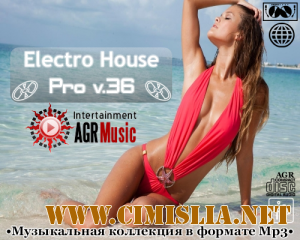 Electro House Pro V.36 [2013 / MP3 / 320 kb]