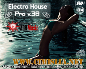 Electro House Pro V.38 [2013 / MP3 / 320 kb]