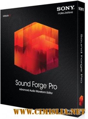 Sony Sound Forge Professional 11.0 Build 234 [RePack] [2013 / ENG / RUS]