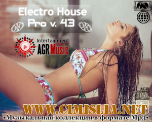 Electro House Pro V.43 [2013 / MP3 / 320 kb]