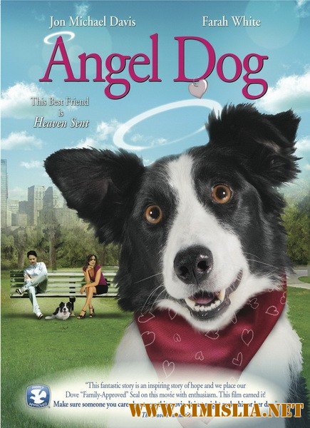 Собака - ангел-хранитель / Angel Dog [2011 / DVDRip]