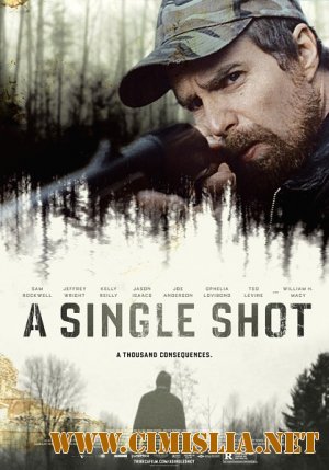 Единственный выстрел / A Single Shot [2013 / HDRip]