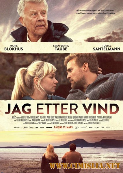 Угнаться за ветром / Jag etter vind [2013 / DVDRip]