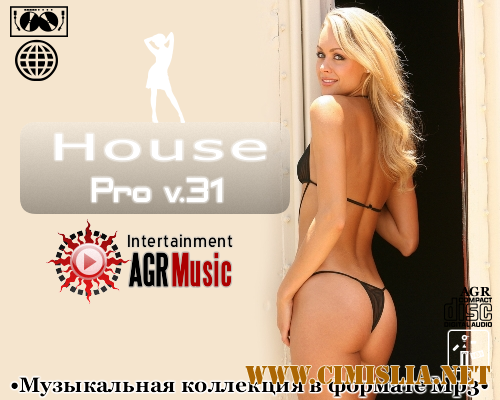 House Pro V.31 [2013 / MP3 / 320 kb]