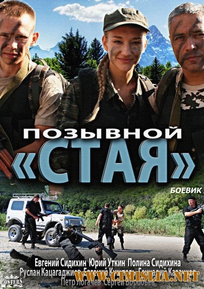 Позывной 'Стая' [01-08 из 08] [2013 / DVDRip | Лицензия]