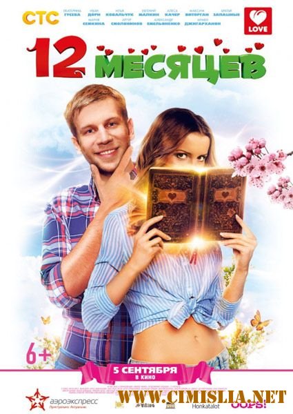 12 месяцев [2013 / DVDRip]