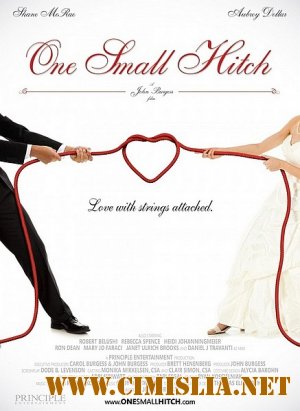 Помолвка понарошку / One Small Hitch [2013 / HDTVRip]