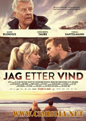 Угнаться за ветром / Jag etter vind [2013 / DVDRip]