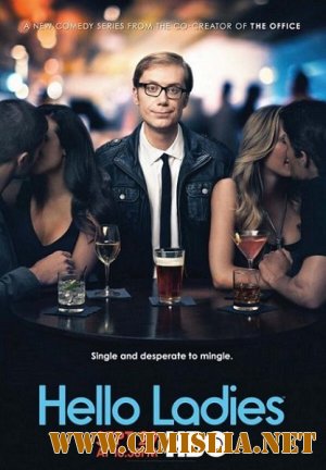 Давай знакомиться / Hello Ladies [S01] [2013 / HDTVRip]