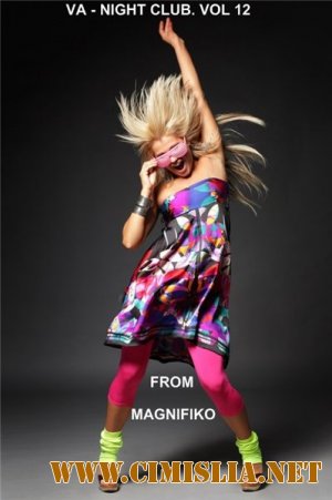 Night Club. Vol 12 [2013 / MP3 / 320 kb]