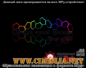 Drum and Bass Pro V.24 [2013 / MP3 / 320 kb]