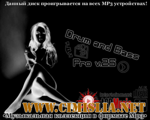 Drum and Bass Pro V.25 [2013 / MP3 / 320 kb]