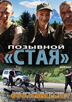 Позывной 'Стая' [01-08 из 08] [2013 / DVDRip | Лицензия]