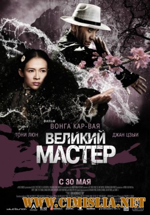 Великий мастер / Yi dai zong shi [2013 / BDRip]