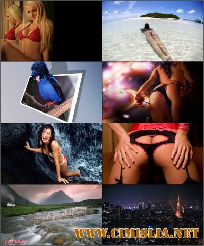 Обои для рабочего стола - Разное  [2013]