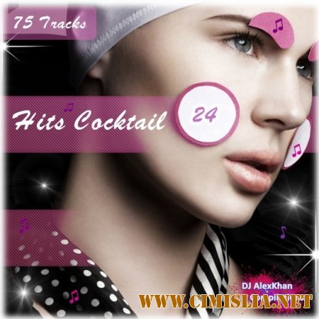 Hits Cocktail Vol. 24 [2013 /  MP3 / 320 kb]