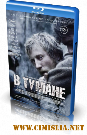 В тумане [2012 / HDRip-AVC]