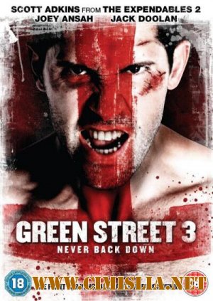 Хулиганы 3 / Green Street 3: Never Back Down [2013 / HDRip]