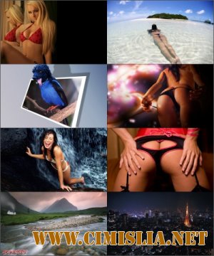 Обои для рабочего стола - Разное  [2013]