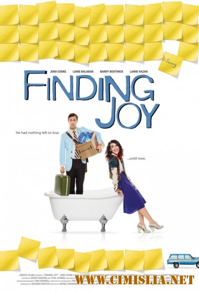 В поисках радости / Finding Joy [2013 / WEB-DLRip]