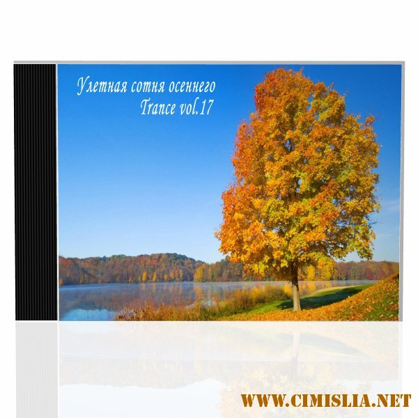 Улетная сотня осеннего Trance vol.17 [2013 / MP3 /320 kb]