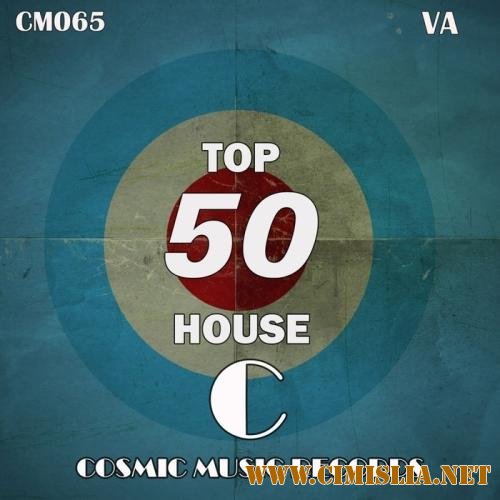 Top 50 House [2013 / MP3 / 320 kb]
