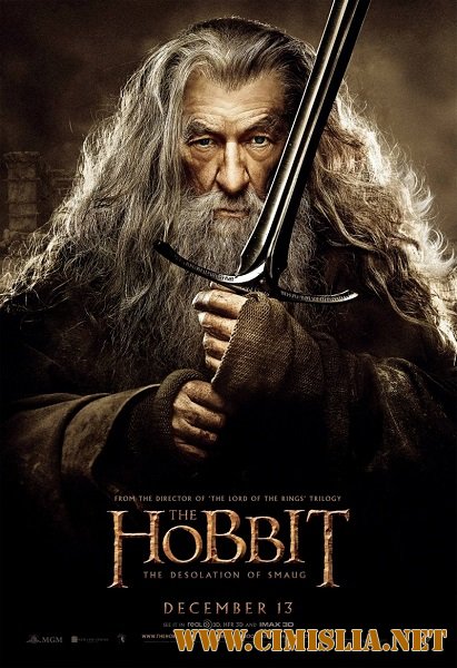 Хоббит: Пустошь Смауга / The Hobbit: The Desolation of Smaug [2013 / HDRip | Лицензия]