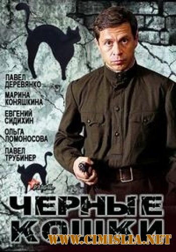 Черные кошки [01-12 из 12] [2013 / DVDRip | Лицензия]