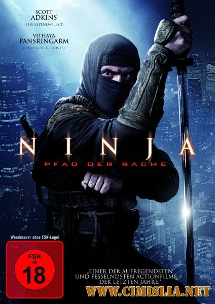 Ниндзя 2 / Ninja: Shadow of a Tear [2013 / BDRip]