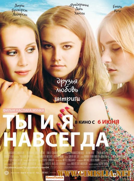 Ты и я навсегда / You & Me Forever [2012 / DVDRip | Лицензия]